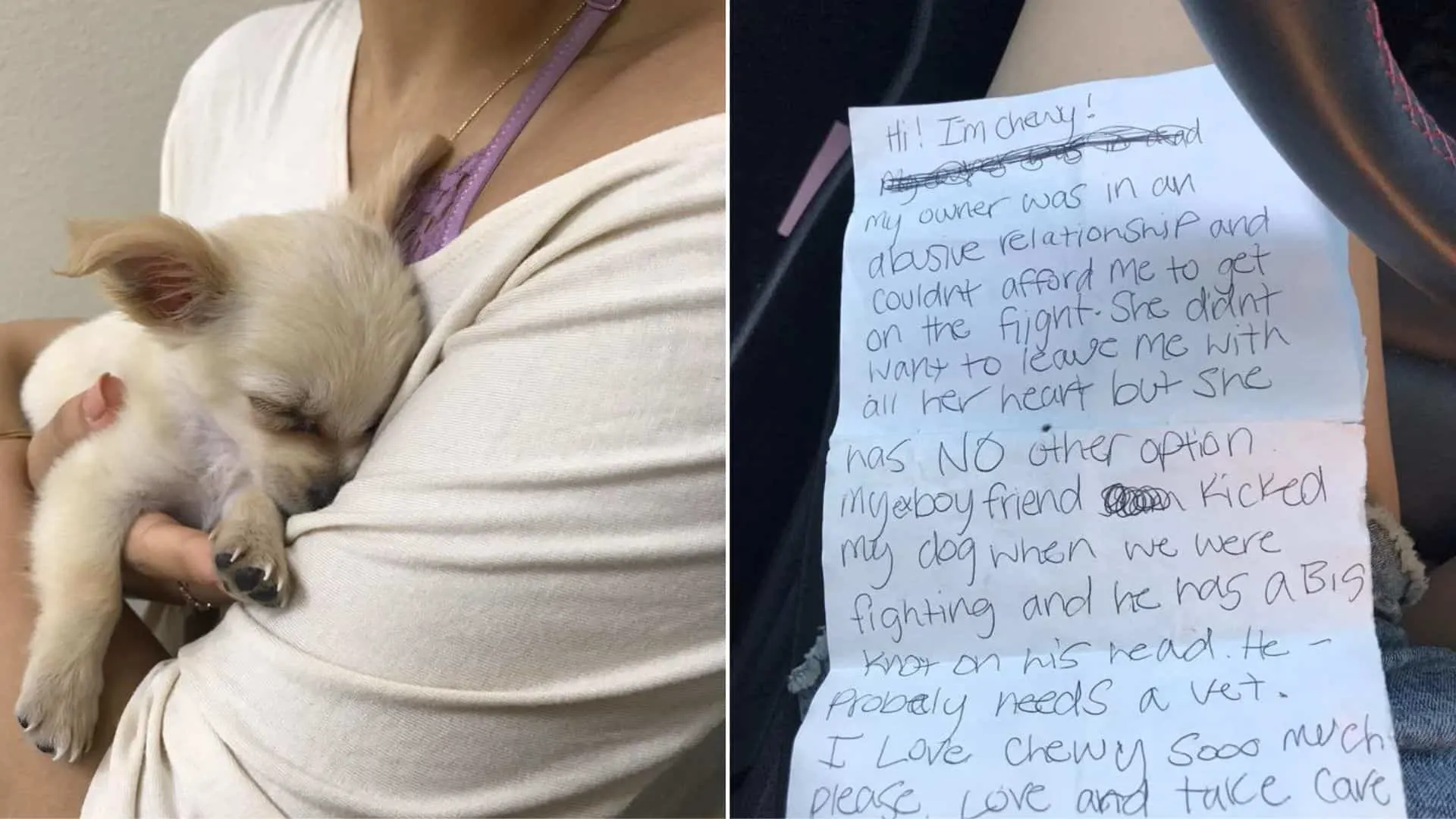 Pup Abandoned In Airport Restroom Found With The Most Heartbreaking Note